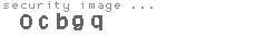 security image
