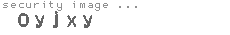 security image