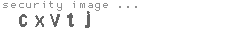 security image