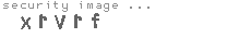 security image