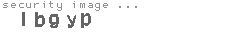 security image