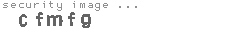security image