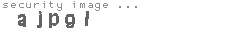 security image