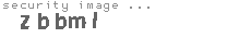 security image