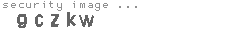 security image