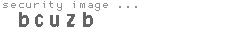 security image