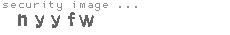 security image