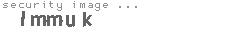 security image