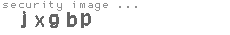 security image