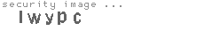 security image