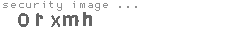 security image
