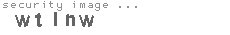 security image