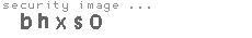 security image