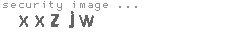 security image