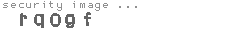 security image