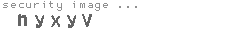 security image