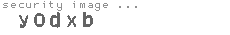 security image