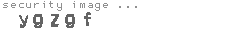 security image