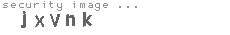 security image