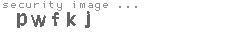 security image