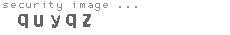 security image