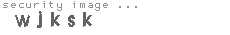 security image