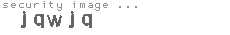 security image