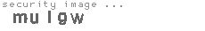 security image