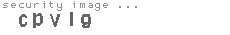 security image