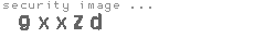 security image