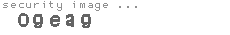 security image