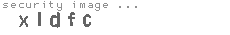 security image