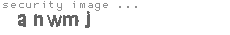 security image