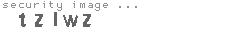 security image