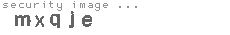 security image