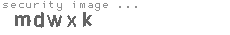 security image