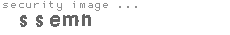 security image