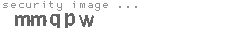 security image
