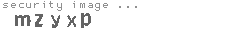 security image