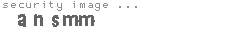 security image