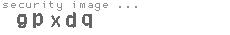 security image