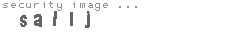 security image