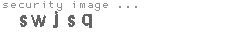 security image