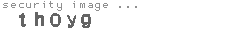 security image