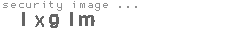 security image