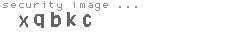 security image