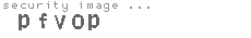 security image