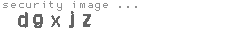 security image