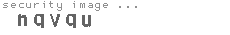 security image