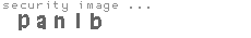 security image